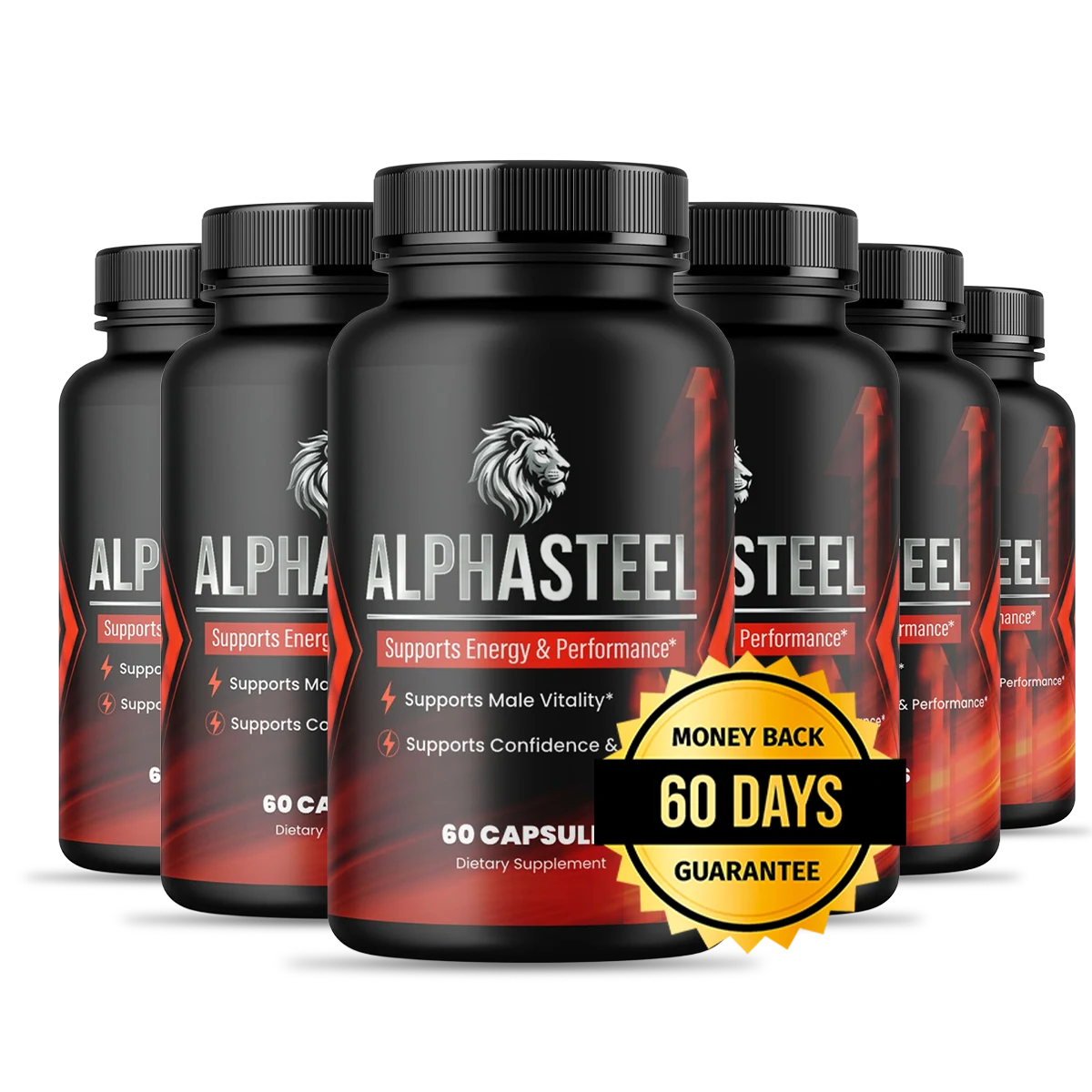 AlphaSteel  6 bottle